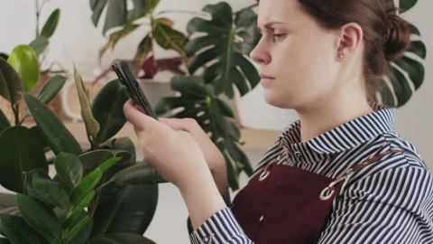 Anxious woman using smartphone, reading information about plant diseases Stock Footage 237624036
