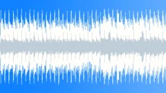 Any Quick Way (Acoustic Loop) Stock Music