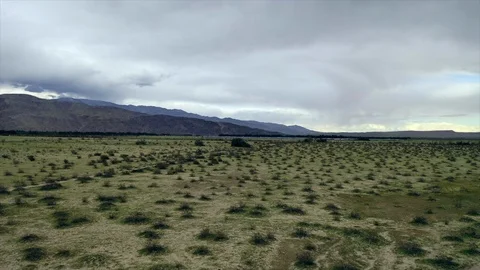 Anza borrego field Stock Footage 114414445