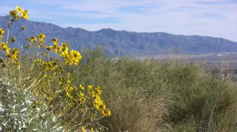 Anza Borrego view of mountains Video stock 690170