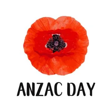 Anzac Day vector card. Bright Poppy Flower Stock Illustration