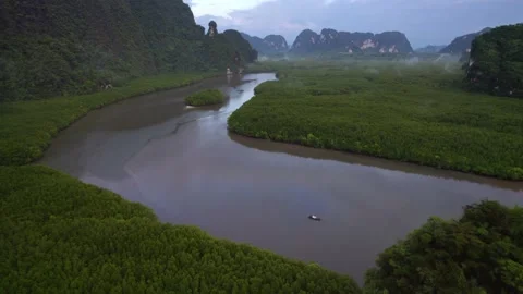Ao Thalane mangrove river. Video stock 195285097