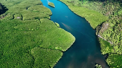 Ao Thalane Tidal River Through Mangroves, Krabi Thailand – 4K Aerial Stock-Footage 328393358