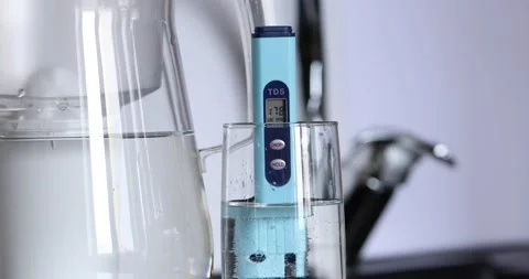 AO1A7782 10 Stock Footage 220729245