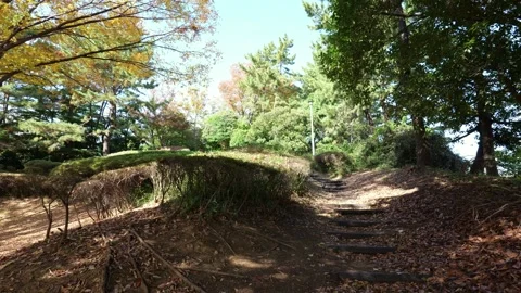 Aomi Central Pier Park, Japan Tokyo November 2025 Stock Footage 322037553
