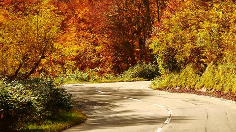 Aomori , JAPAN OCT 2018 : Hakkoda gold line the highway road number 109 in Ao Stock Footage 100175341