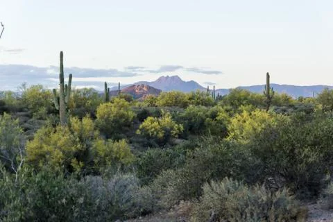 Apache Junction Arizona Stock Photos