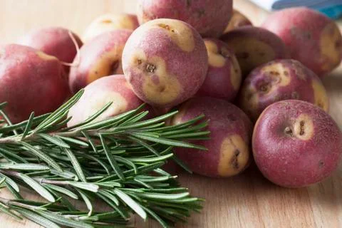 Apache potatoes and rosemary Stock Photos