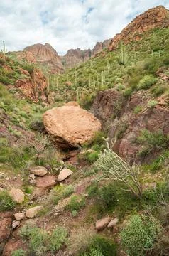 Apache Trail Stock Photos