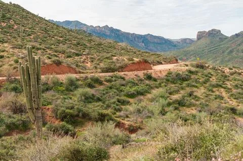 Apache Trail Stock Photos