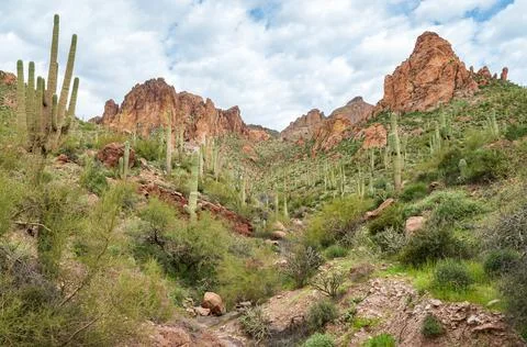 Apache Trail Stock Photos