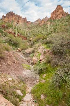 Apache Trail Stock Photos