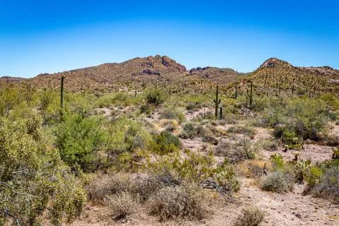 Apache Trail Scenic Drive View Stock Photos