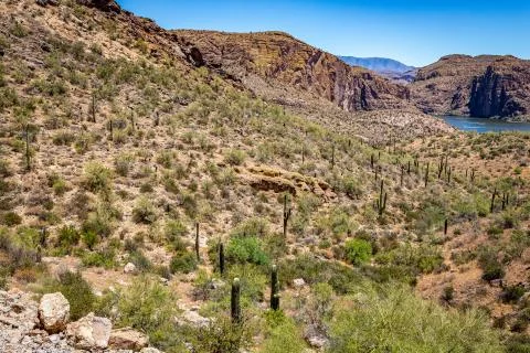 Apache Trail Scenic Drive View Stock Photos