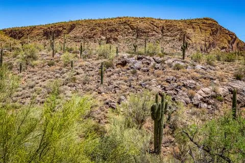 Apache Trail Scenic Drive View Foto stock