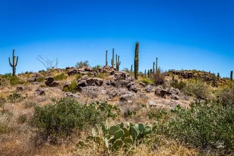 Apache Trail Scenic Drive View Stock Photos