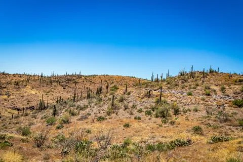 Apache Trail Scenic Drive View Stock Photos