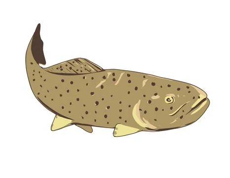 Apache Trout Front View WPA Art. Stock Illustration