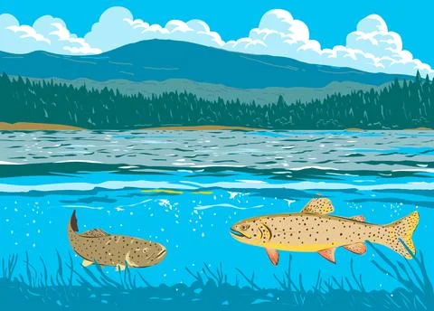 Apache Trouts in Lee Valley Lake in Arizona USA WPA Art. Stock Illustration
