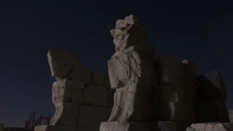 Apadana lion in timelaps Stock Footage 161805347