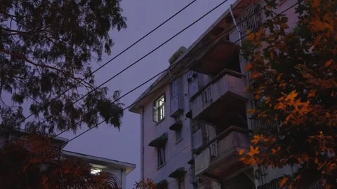Apartment Building Framed by Warm Lit Trees at Blue Hour 動画素材 344092106