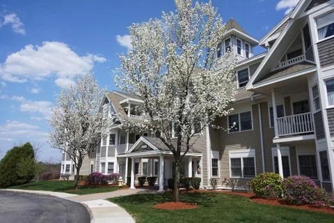 Apartment building with spring tree Stock-Fotos