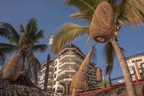 Apartment building view from beach framed by palm trees and coastal palapa .. Foto stock