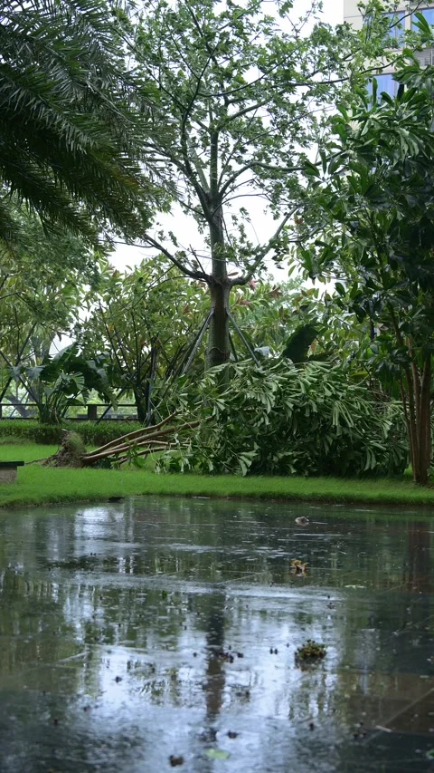 An apartment community garden during a storm with broken tree Video stock 328706226