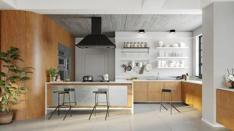 Apartment interior with kitchen. 3d Stock Illustration
