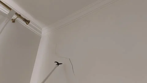 Apartment Wall Cracks: Causes and Quick Fixes 스톡 동영상 306062575