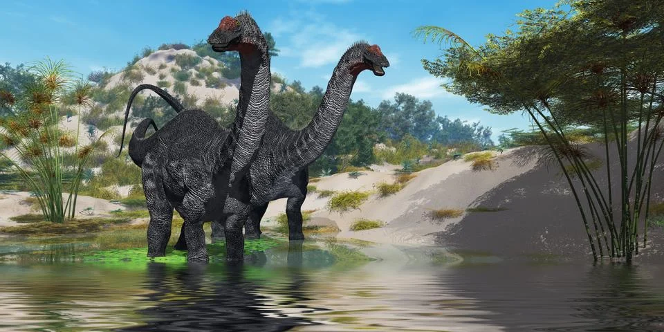 Apatasaurus 02 스톡 일러스트