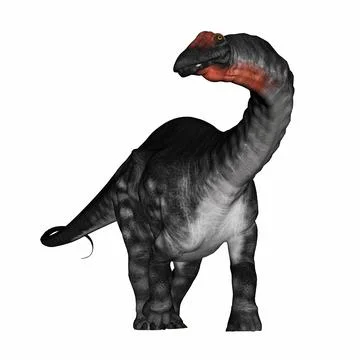 Apatosaurus dinosaur - 3D render Stock Illustration