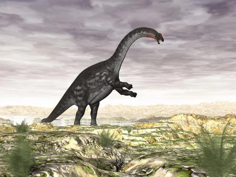Apatosaurus dinosaur in the desert - 3D render Stock Illustration