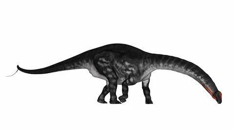 Apatosaurus dinosaur drinking or eating - 3D render Stock Illustration