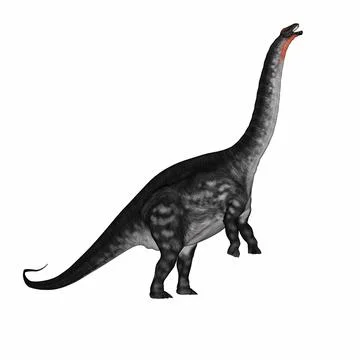 Apatosaurus dinosaur standing up - 3D render Stock Illustration
