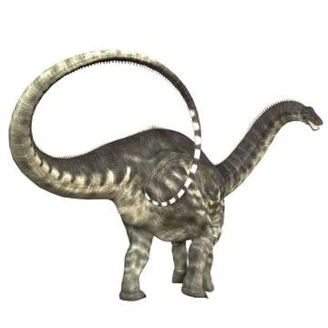 Apatosaurus Dinosaur Tail Stock Illustration