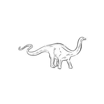 Apatosaurus drawing Stock Illustration