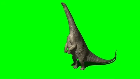 Apatosaurus Eating on Green Screen Stock Footage 221560930