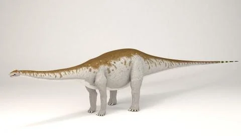 Apatosaurus Stock Illustration
