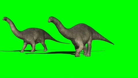 Apatosauruses Walking on Green Screen 스톡 동영상 221561106