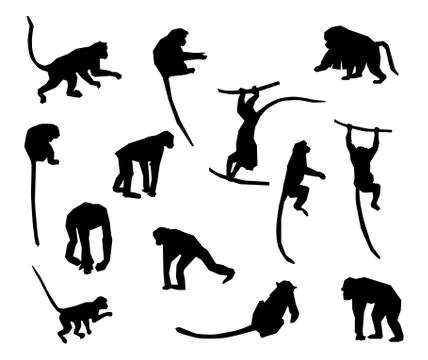 Ape and Monkey collection - vector silhouette. Stock Illustration