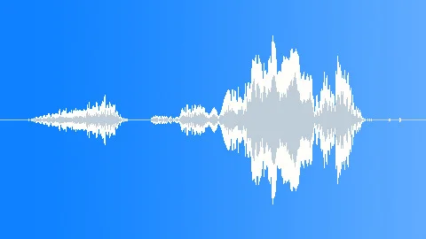 Ape: High Pitched Screech ~ Sound Clip #261190245
