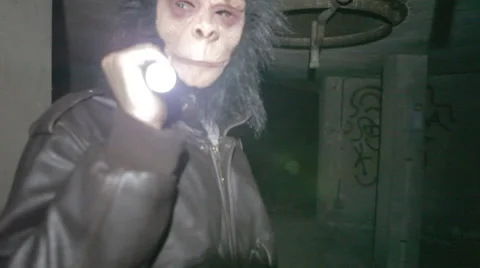 Ape Man Walking through a Cornfield #4 Stock Footage 58122488