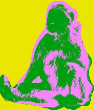 Ape picture Stock Illustration