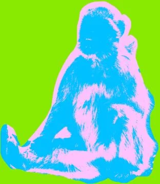 Ape picture Stock Illustration