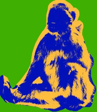 Ape picture Stock Illustration