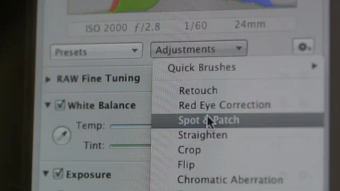 Aperture settings camera photographer Apple MacOS on iMac computers Stock Footage 103116305