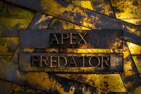 Apex Predator Stock Illustration