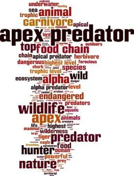 Apex predator word cloud Stock Illustration