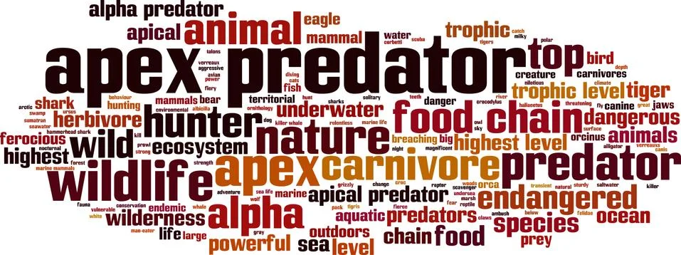 Apex predator word cloud Stock Illustration